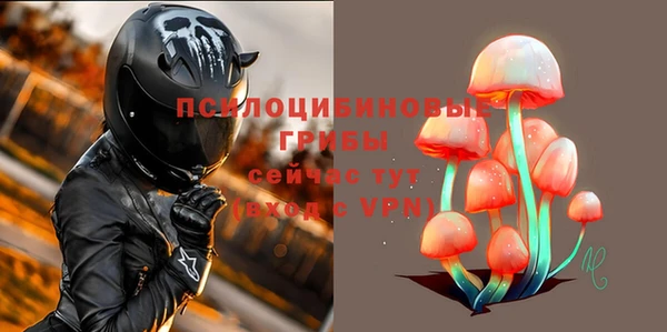 дмт Осташков