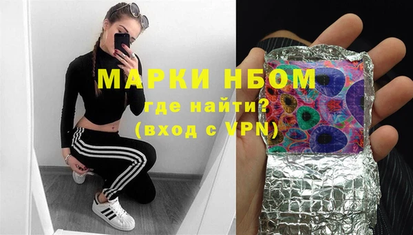 дмт Осташков