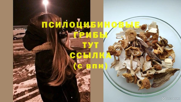 синтетический гашиш Осинники