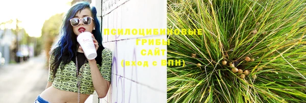 соль ск Остров