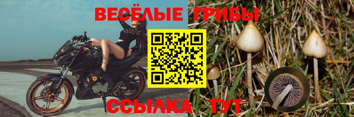 ГАШИШ Набережные Челны